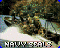 sealicon 0000.gif