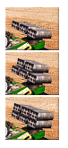 Buggy 1,2,3.gif