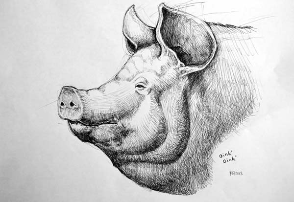 pig.jpg